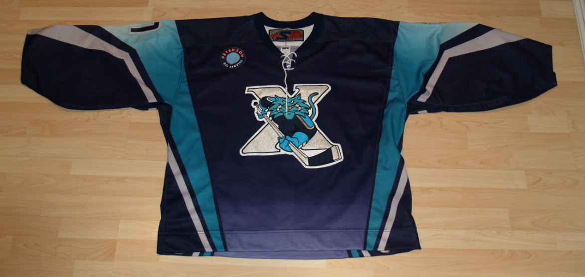 Vintage Worcester Ice Cats Jersey AHL Minor League Hockey